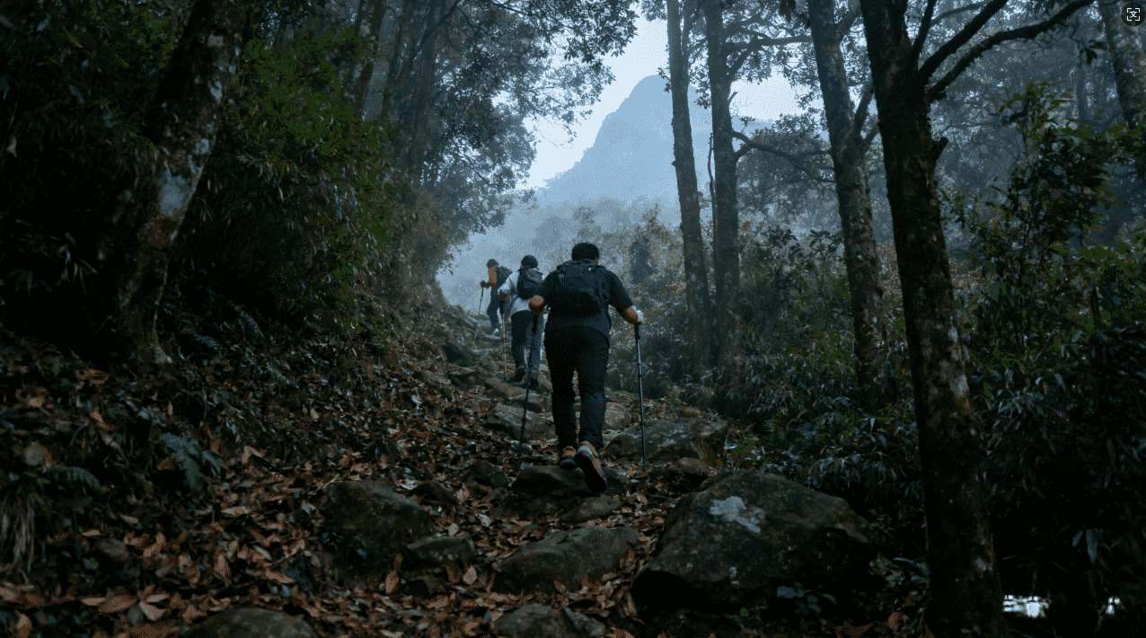 雷霆加速加速器最新版本下载与优化技巧